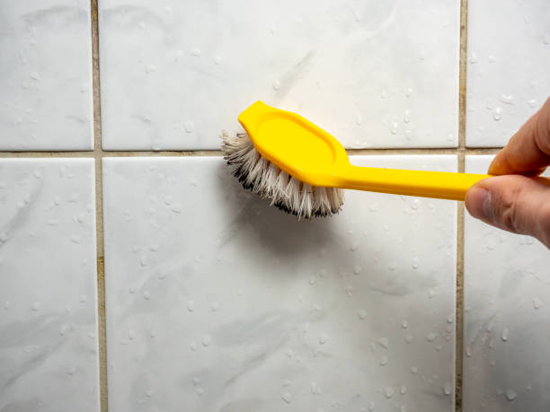 Best Black Mold Removal  in Stockton, UT