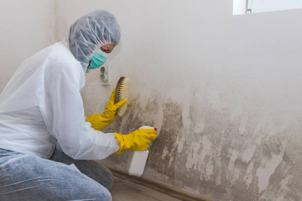 Best Mold Testing  in Stockton, UT