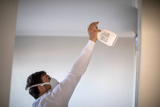 Best Mold Removal Company Near Me  in Stockton, UT